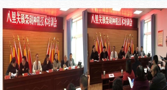 2021年3月八里關(guān)鎮(zhèn)柴胡種植技術(shù)培訓(xùn)會